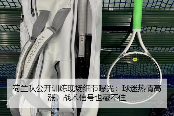 荷兰队公开训练现场细节曝光：球迷热情高涨，战术信号也藏不住